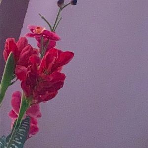 Meet your Posher, Hafida